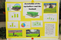 Association of the agriculture and the football (Előnézeti kép)