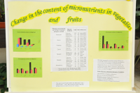 Change in the content of micronutrients in vegetables and fruits (Előnézeti kép)
