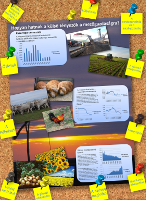 Hogyan hatnak a külső tényezők a mezőgazdaságra (Előnézeti kép)