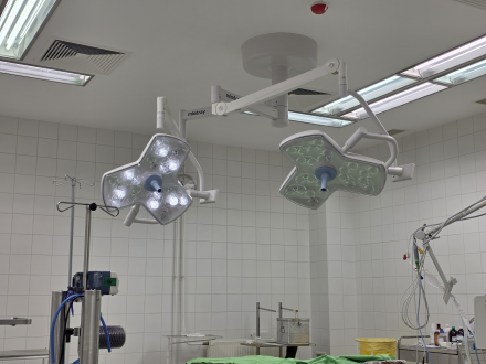 20251030_112205_mutolampa2 20251030_112205_mutolampa2