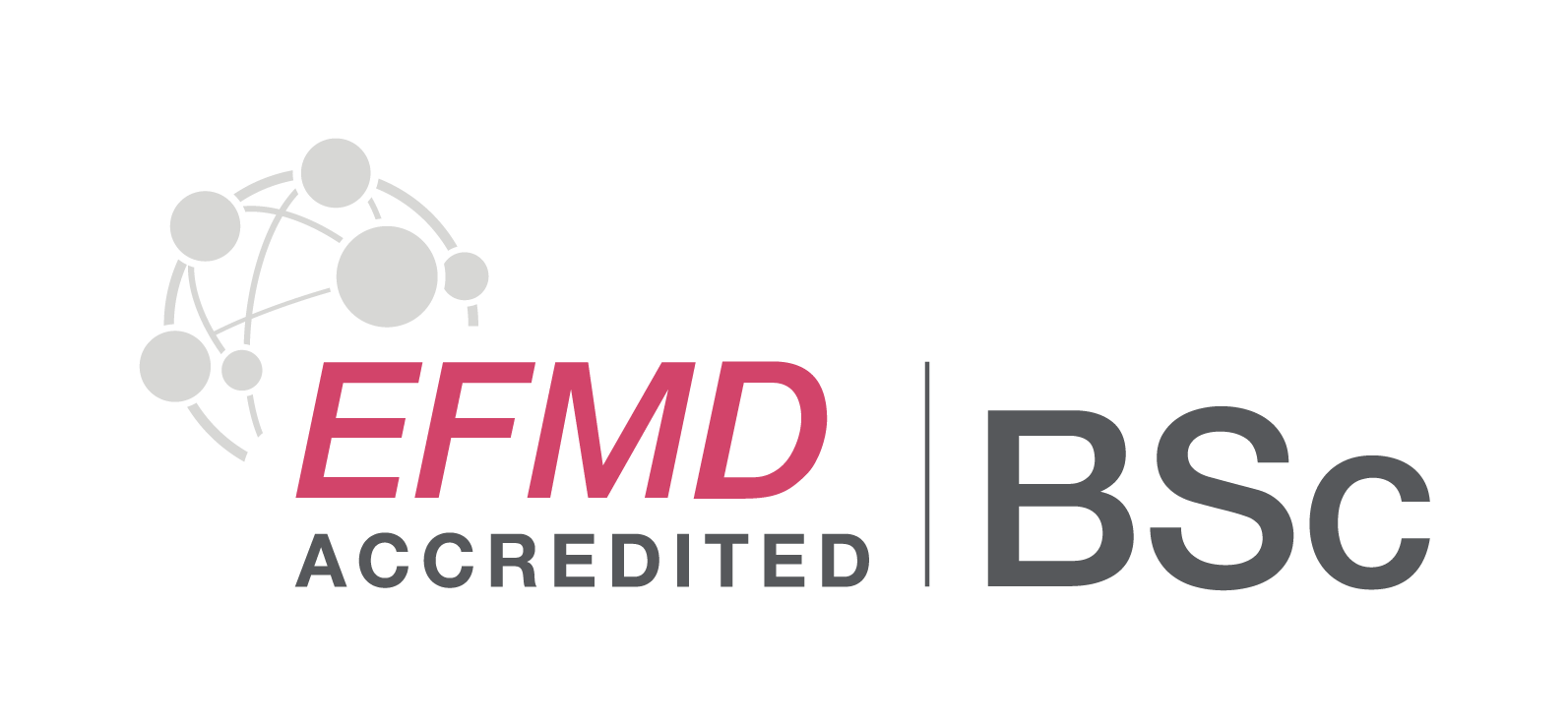 EFMD Accredited BSc